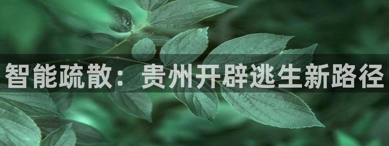云顶400