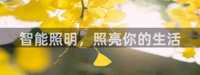 云顶国际房地产有限公司