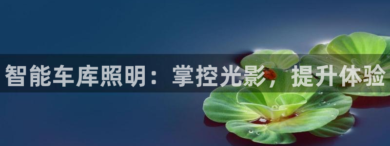 云顶国际服什么时候更新s8