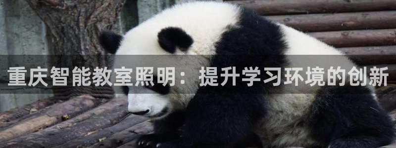 云顶集团有限公司是国企吗