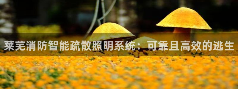 南昌云顶国际公馆是商品房吗
