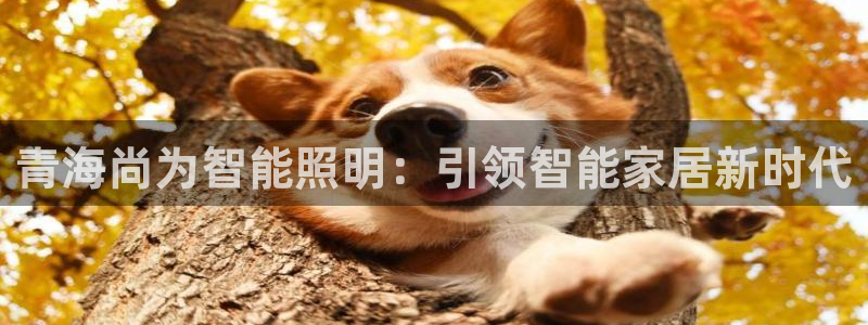 云顶国际北大街