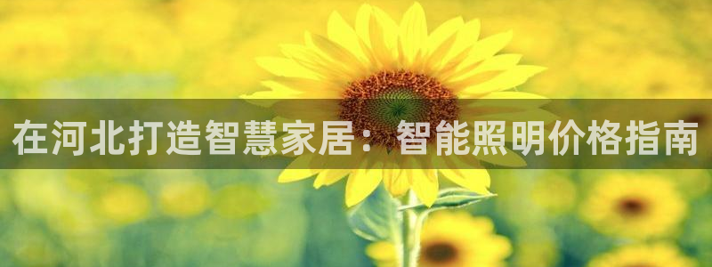 云顶国际商业广场A座101室