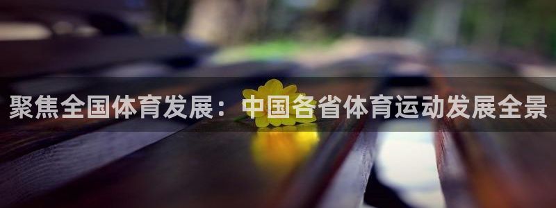 必一运动：聚焦全国体育发展：中国各省体育运动发展全景