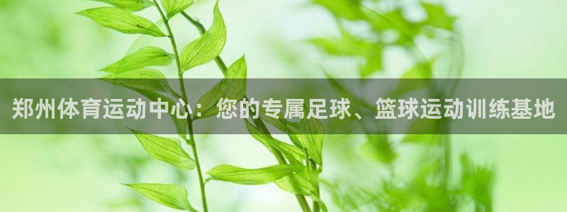 必一运动：郑州体育运动中心：您的专属足球、篮球运动训练基地
