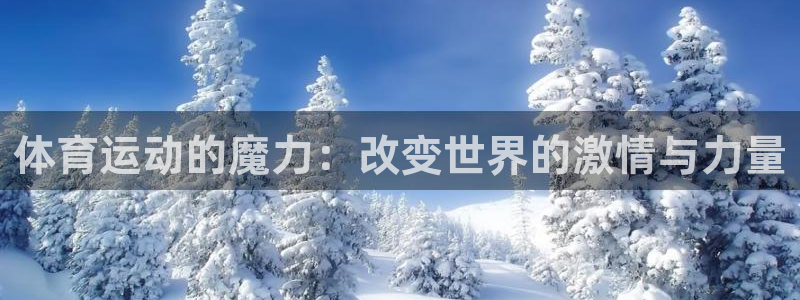 必一运动：体育运动的魔力：改变世界的激情与力量