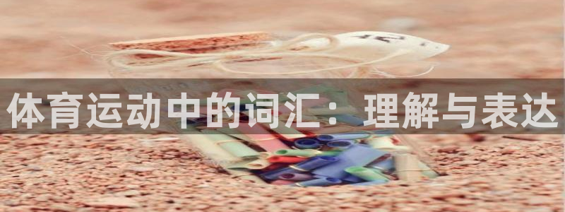 bsport必一运动：体育运动中的词汇：理解与表达