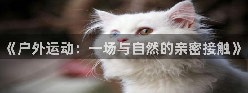 bsports必一运动：《户外运动：一场与自然的亲密接触》