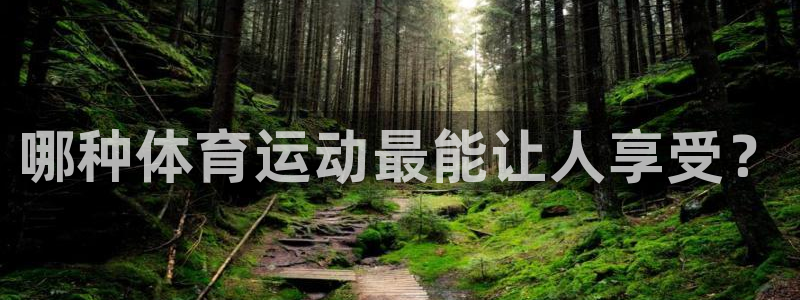 必一运动bsport体育：哪种体育运动最能让人享受？
