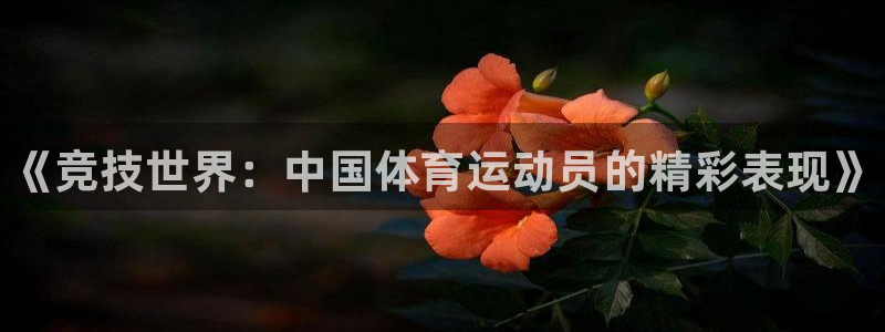 必一运动bsport体育：《竞技世界：中国体育运动员的精彩表现》