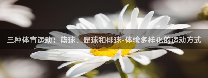 bsports必一运动：三种体育运动：篮球、足球和排球-体验多样化的运动方式
