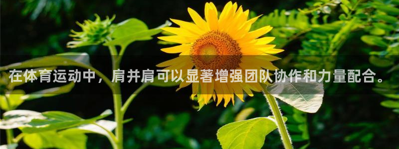 必一运动：在体育运动中，肩并肩可以显著增强团队协作和力量配合。