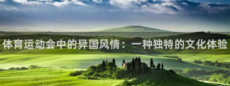 必一运动bsport体育：体育运动会中的异国风情：一种独特的文化体验