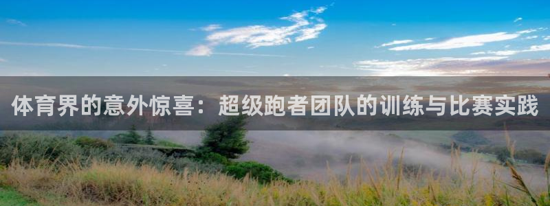 必一运动app：体育界的意外惊喜：超级跑者团队的训练与比赛实践