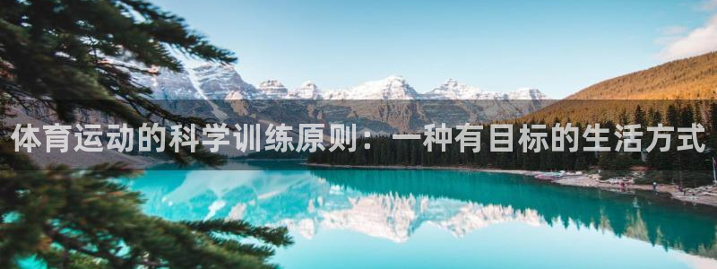 bsports必一运动