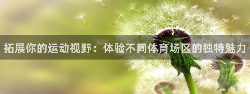 必一运动体育官网入口：拓展你的运动视野：体验不同体育场区的独特魅力