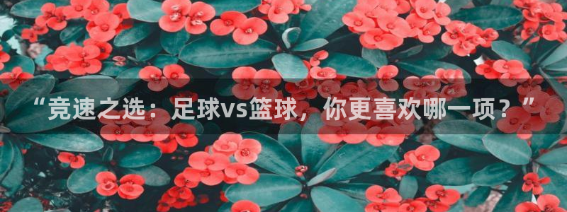 b体育必一运动官网：“竞速之选：足球vs篮球，你更喜欢哪一项？”