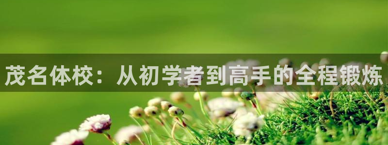 必一运动体育：茂名体校：从初学者到高手的全程锻炼