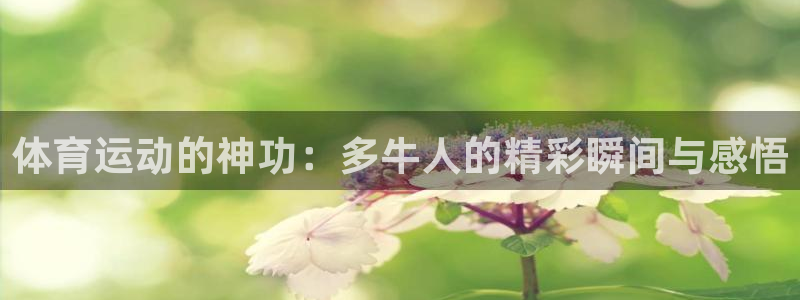 必一运动bsport体育：体育运动的神功：多牛人的精彩瞬间与感悟