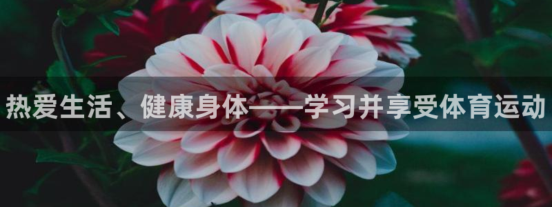 必一运动官网入口：热爱生活、健康身体——学习并享受体育运动