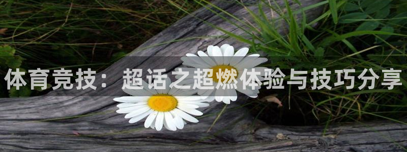 必一运动体育官网入口：体育竞技：超话之超燃体验与技巧分享