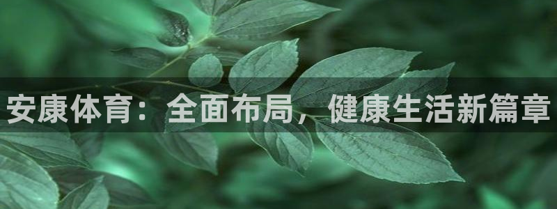 bsports官网 必一运动