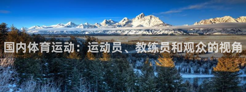 必一运动：国内体育运动：运动员、教练员和观众的视角