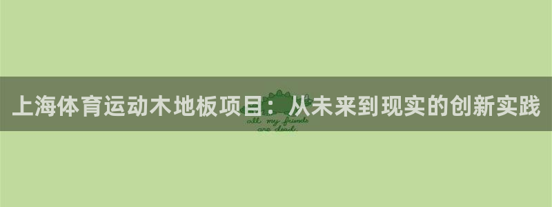 必一运动bsport体育：上海体育运动木地板项目：从未来到现实的创新实践
