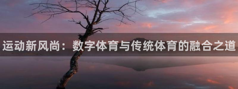 必一运动app：运动新风尚：数字体育与传统体育的融合之道