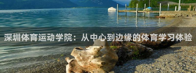 必一运动体育官网：深圳体育运动学院：从中心到边缘的体育学习体验
