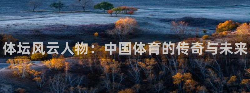 必一运动app：体坛风云人物：中国体育的传奇与未来