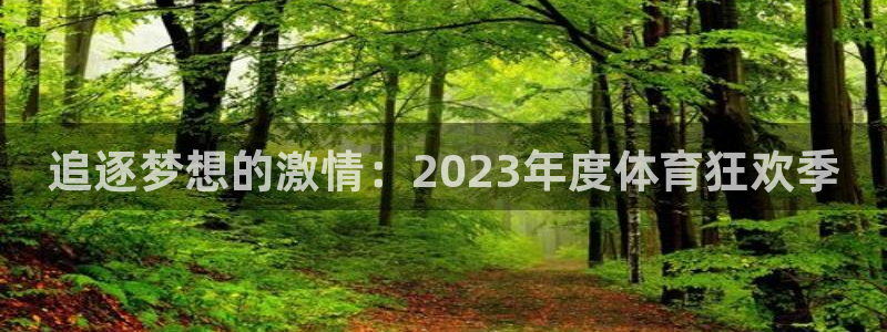 b体育必一运动官网：追逐梦想的激情：2023年度体育狂欢季