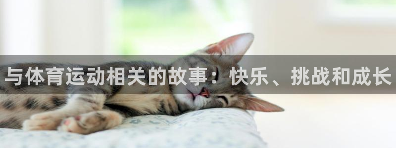 bsports必一运动：与体育运动相关的故事：快乐、挑战和成长