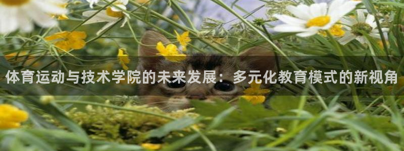 必一运动体育官网入口：体育运动与技术学院的未来发展：多元化教育模式的新视角