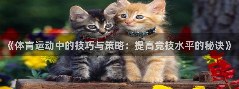 必一运动app