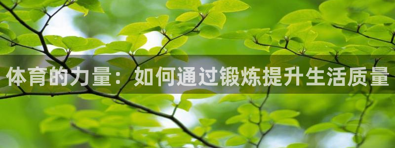 必一运动体育官网