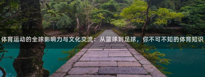 必一运动：体育运动的全球影响力与文化交流：从篮球到足球，你不可不知的体育知识