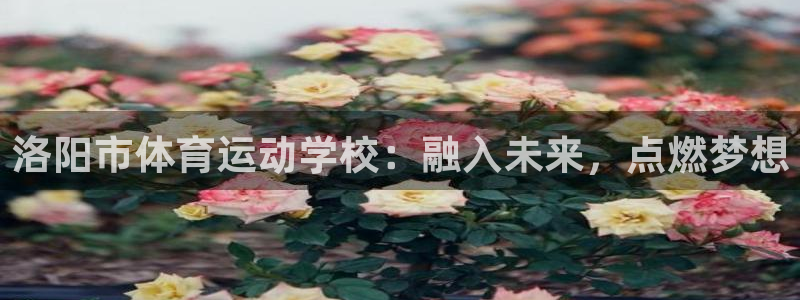 必一运动bsport体育：洛阳市体育运动学校：融入未来，点燃梦想