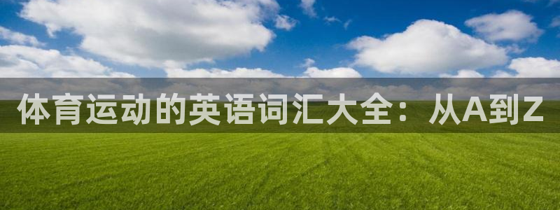 必一运动bsport体育