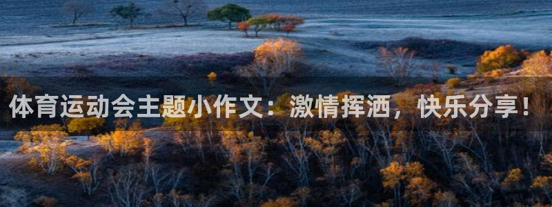 必一运动体育官网