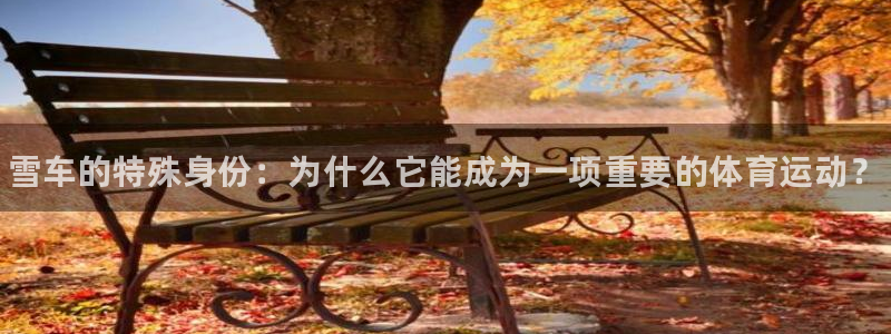 必一运动app：雪车的特殊身份：为什么它能成为一项重要的体育运动？