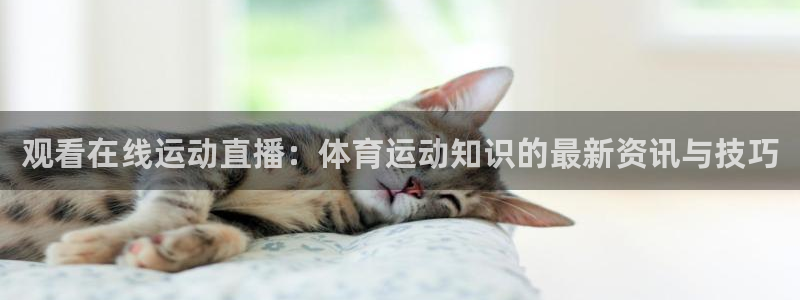 bsport必一运动：观看在线运动直播：体育运动知识的最新资讯与技巧
