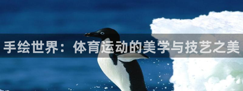 必一运动体育：手绘世界：体育运动的美学与技艺之美