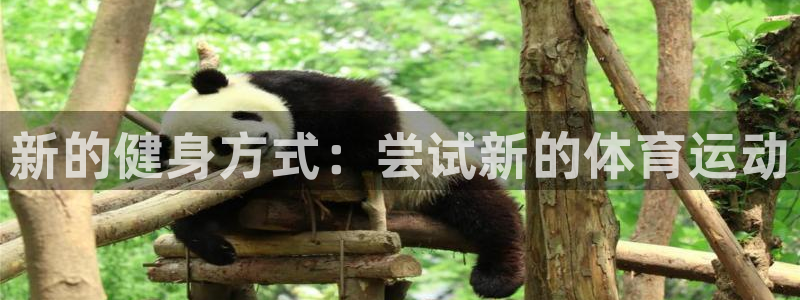 bsports必一运动：新的健身方式：尝试新的体育运动