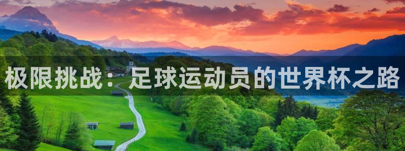 必一运动体育官网：极限挑战：足球运动员的世界杯之路