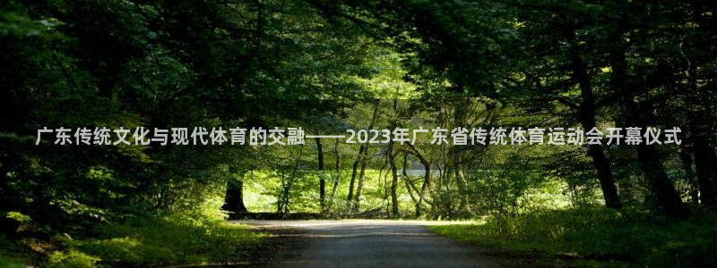 必一运动bsport体育：广东传统文化与现代体育的交融——2023年广东省传统体育运动会开幕仪式