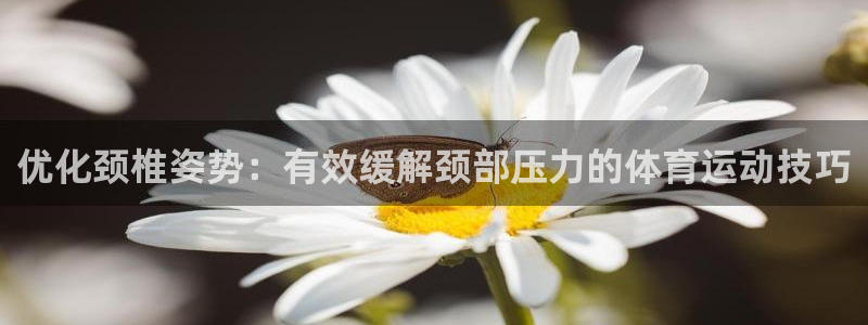 必一运动bsport体育：优化颈椎姿势：有效缓解颈部压力的体育运动技巧