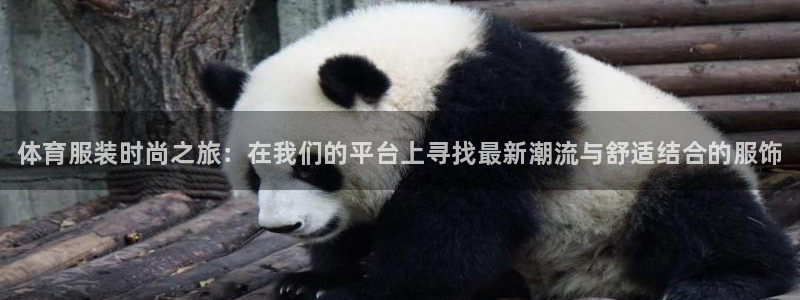 必一运动体育官网入口：体育服装时尚之旅：在我们的平台上寻找最新潮流与舒适结合的服饰