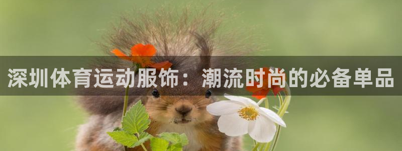 必一运动：深圳体育运动服饰：潮流时尚的必备单品