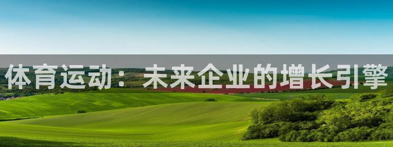 b体育必一运动官网：体育运动：未来企业的增长引擎